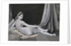 Odalisque in Grisaille, c.1824–34 by Jean Auguste Dominique Ingres