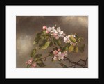 Hummingbird and Apple Blossoms, 1875 by Martin Johnson Heade
