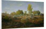 A Path among the Rocks, c.1861 by Pierre Etienne Theodore Rousseau