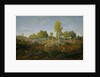 A Path among the Rocks, c.1861 by Pierre Etienne Theodore Rousseau