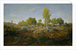 A Path among the Rocks, c.1861 by Pierre Etienne Theodore Rousseau