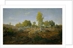 A Path among the Rocks, c.1861 by Pierre Etienne Theodore Rousseau