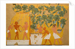 Winemaking, Tomb of Ipuy by Charles Wilkinson