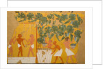 Winemaking, Tomb of Ipuy by Charles Wilkinson
