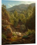 Scene in the Catskills, 1858 by Paul Weber