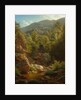 Scene in the Catskills, 1858 by Paul Weber