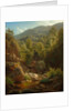 Scene in the Catskills, 1858 by Paul Weber