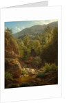 Scene in the Catskills, 1858 by Paul Weber