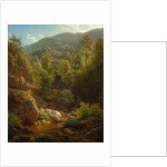 Scene in the Catskills, 1858 by Paul Weber