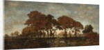 After the Rain, c.1850 by Theodore Rousseau