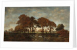 After the Rain, c.1850 by Theodore Rousseau
