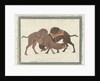 Fighting camels, c.1680-1700 by Indian School