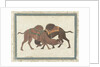 Fighting camels, c.1680-1700 by Indian School