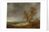 Landscape with Two Oaks, 1641 by Jan Josephsz van Goyen