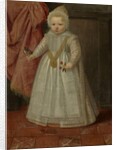 Portrait of a Boy, possibly Louis of Nassau, 1604 by Netherlandish School