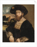 Portrait of a Man Wearing a Black Beret, c.1530 by Dosso Dossi