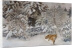 Fox in Winter Landscape, 1938 by Bruno Andreas Liljefors