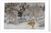 Fox in Winter Landscape, 1938 by Bruno Andreas Liljefors