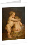 Two Naked children with Grapes, c.1630-40 by Anthony van Dyck