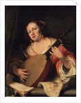 A Lady Playing the Lute, 1654 by Ferdinand Bol