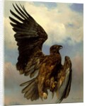 The Wounded Eagle, c.1870 by Rosa Bonheur