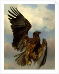 The Wounded Eagle, c.1870 by Rosa Bonheur