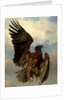 The Wounded Eagle, c.1870 by Rosa Bonheur