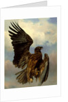 The Wounded Eagle, c.1870 by Rosa Bonheur