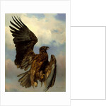 The Wounded Eagle, c.1870 by Rosa Bonheur