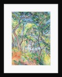 Sous-Bois, c.1894 by Paul Cezanne