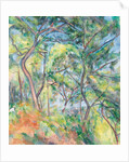 Sous-Bois, c.1894 by Paul Cezanne