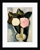 Pink and White Flowers in a Vase, c.1929 by Marsden Hartley