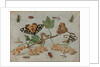 Insects and Fruit, c.1660-5 by Jan van the Elder Kessel