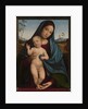 Madonna and Child, 1490-9 by Il (1450-1517) Francia