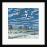 Winter Scene in Moonlight, 1869 by Henry Farrer