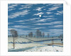 Winter Scene in Moonlight, 1869 by Henry Farrer