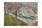 Landscape, Kragero, 1912 by Edvard Munch