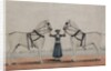 A Syce Holding Two Carriage Horses, c.1845 by Shaik Muhammad Amir of Karraya