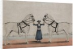 A Syce Holding Two Carriage Horses, c.1845 by Shaik Muhammad Amir of Karraya