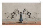 A Syce Holding Two Carriage Horses, c.1845 by Shaik Muhammad Amir of Karraya