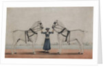 A Syce Holding Two Carriage Horses, c.1845 by Shaik Muhammad Amir of Karraya
