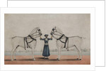 A Syce Holding Two Carriage Horses, c.1845 by Shaik Muhammad Amir of Karraya