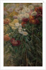 Chrysanthemums in the Garden at Petit-Gennevilliers, 1893 by Gustave Caillebotte
