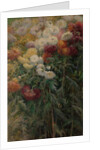 Chrysanthemums in the Garden at Petit-Gennevilliers, 1893 by Gustave Caillebotte