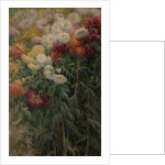 Chrysanthemums in the Garden at Petit-Gennevilliers, 1893 by Gustave Caillebotte