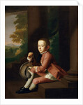 Daniel Crommelin Verplanck, 1771 by John Singleton Copley