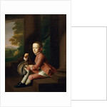 Daniel Crommelin Verplanck, 1771 by John Singleton Copley