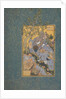 The Concourse of the Birds, c.1600 by Persian School