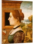 Portrait of a Woman, c.1494 by School Italian