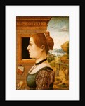 Portrait of a Woman, c.1494 by School Italian